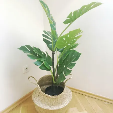 考斯特尼克广场公寓 布拉格